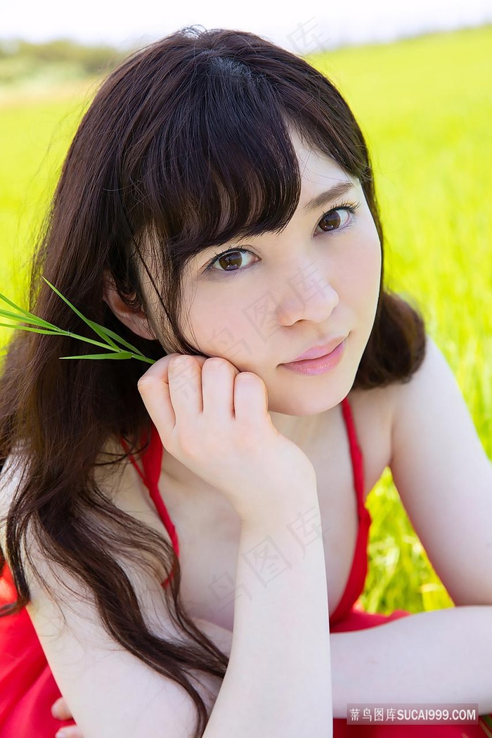 叶子楣聊斋奇谭原版