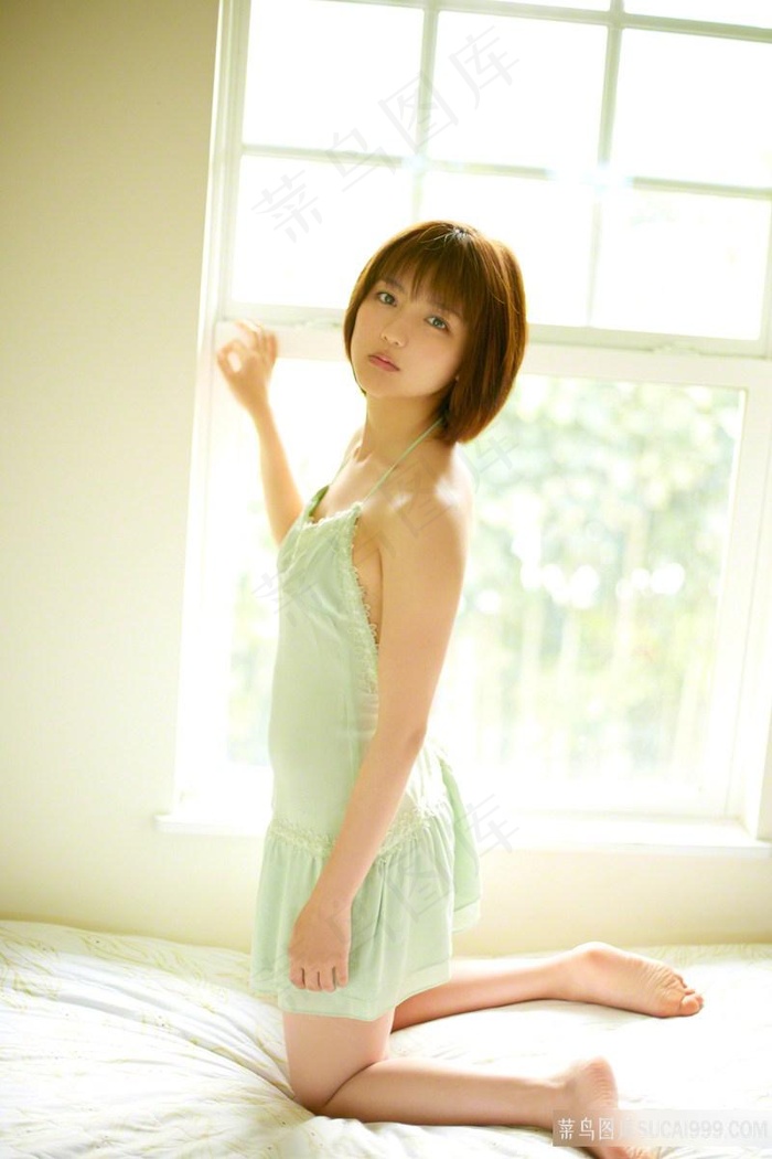 镜花风月之七仙女思春dvd