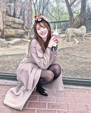 月莹如故小说