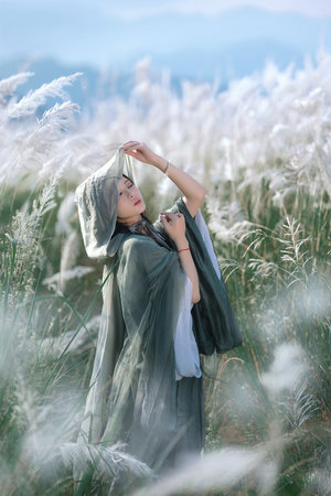 美女合集