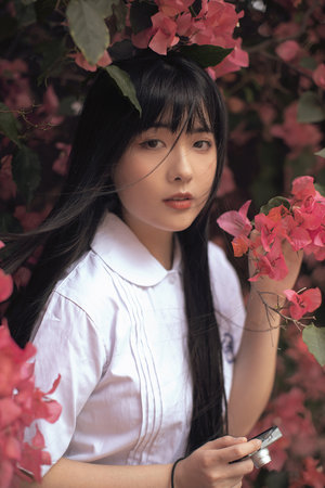 姨母的朋友