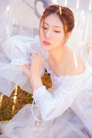 东北少妇av