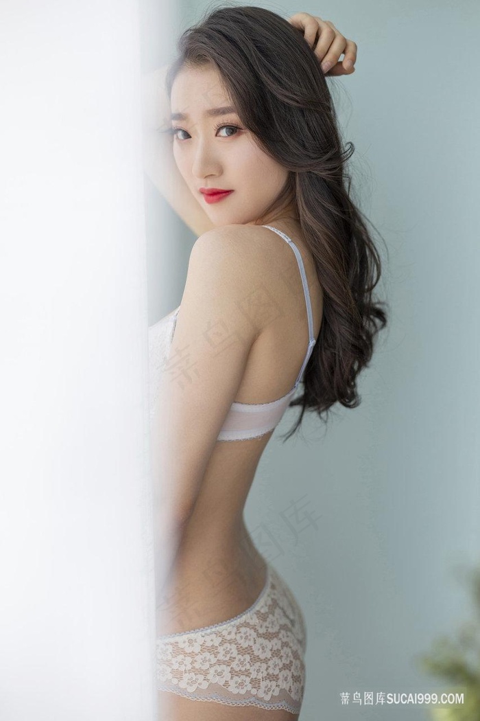 梅花档案1