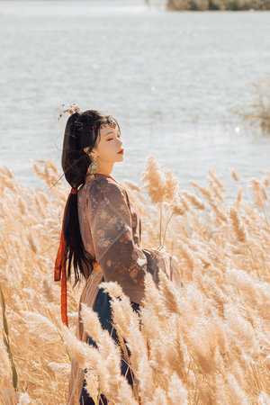 欧美精品av