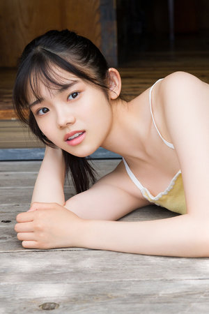 盛夏芬德拉免费完整版