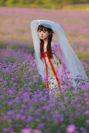 格莱普尼尔第1集