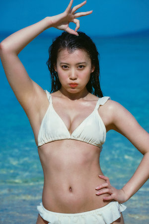 莲花争霸电视剧全集免费观看