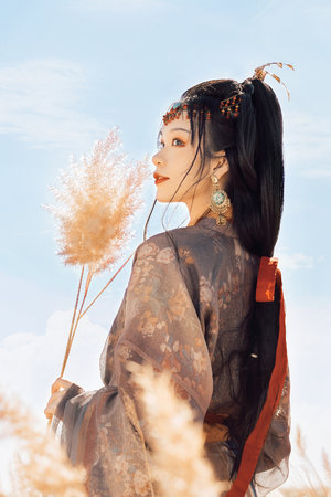 进击的巨人吧