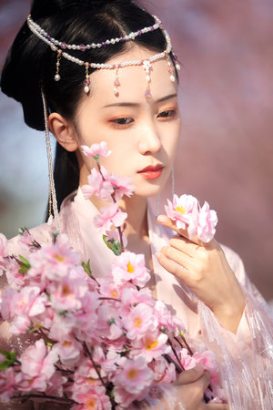 妈妈的职业中语版在看