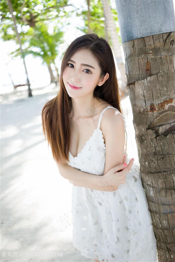 主人请调教我
