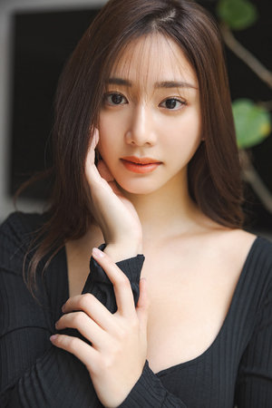 梅花档案1